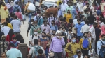 সিরাজগঞ্জে মহাসড়কে গাড়ির সারি, যানজটে ভোগান্তি যাত্রীদের